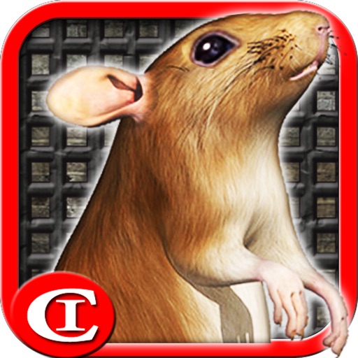 Sewer Rat Run 3D! Plus icon