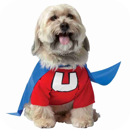 Cute Puppies Costumes icon