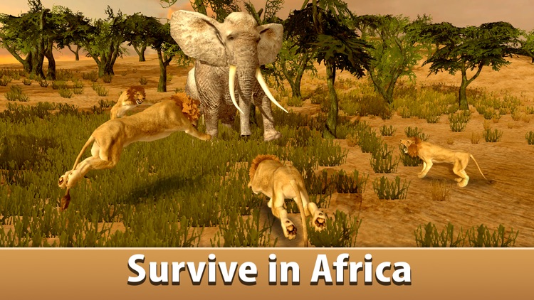 Big Elephant Simulator: Wild African Animal 3D screenshot-0