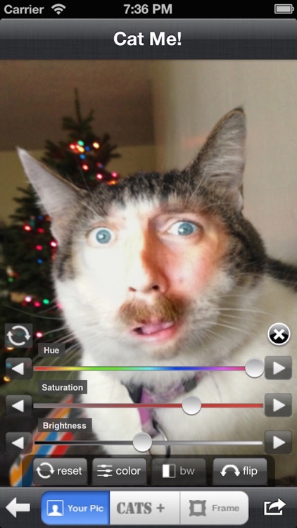 Cat Me Pro screenshot-0
