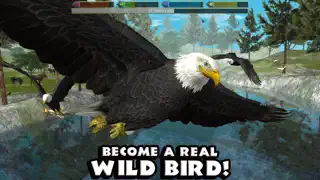 Ultimate Bird Simulator - Screenshot 1