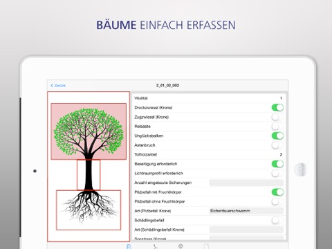 conjectFM Baumkataster screenshot 2