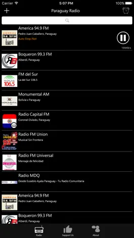 Game screenshot Paraguayan Radio apk