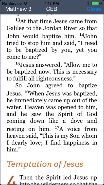 Daily Bible Study screenshot-4