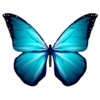 Butterfly Stickers For iMessage