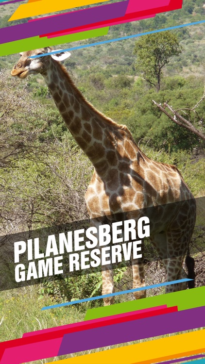 Pilanesberg Game Reserve Tourism Guide