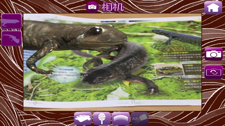 MY HERPTILE - Augmented Reality screenshot-4