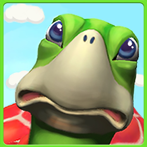 Turtle Boarden iOS App