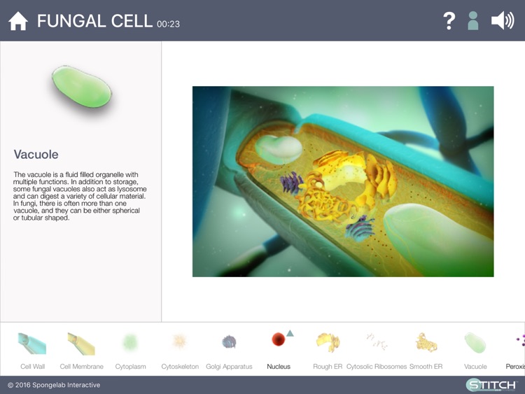 Build a Body: Biology Systems screenshot-3