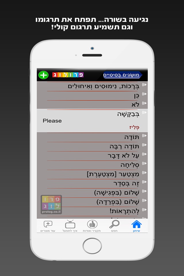 שיחון אנגלית חדש כולל קריינות ושמע מבית פרולוג screenshot 3