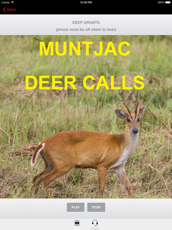 Muntjac Deer Calls Sounds for Big Game Hunting HD