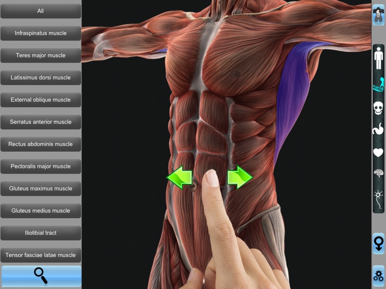 Anatomy 3D for iPad