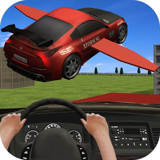 Flying Racing In Car Icon