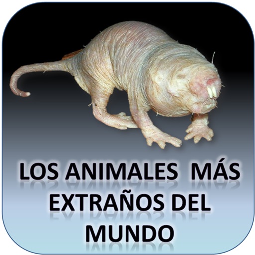 Los Animales más Extraños del Mundo - AudioEbook icon