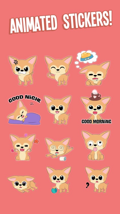 Animated Chihuahua Stickers