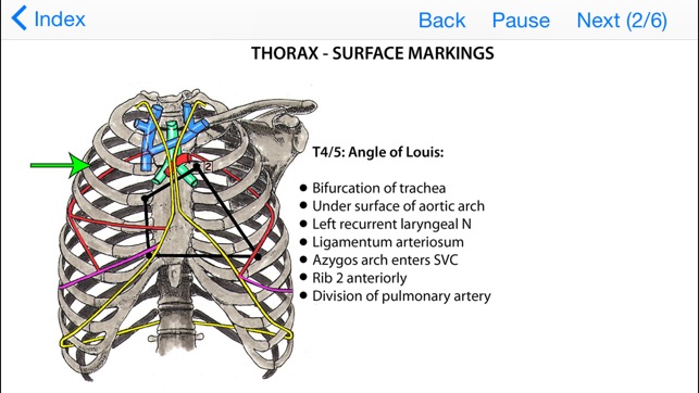 Anatomy Lectures Topics in Focus(圖2)-速報App