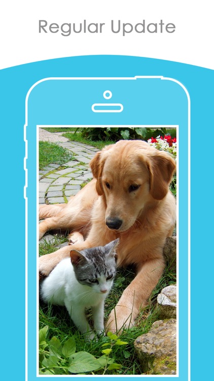 Free puppy & Kitten Wallpapers | Best HD Pictures