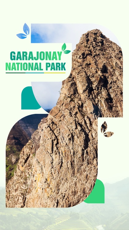 Garajonay National Park Travel Guide