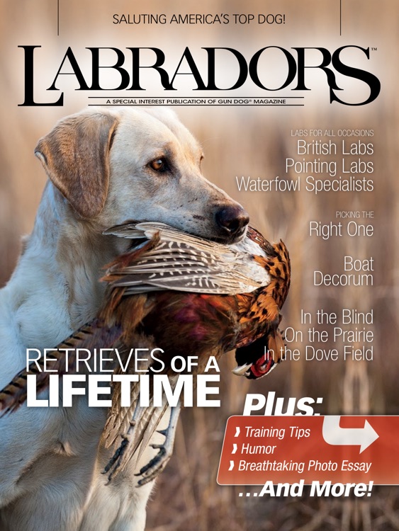Labrador Magazine