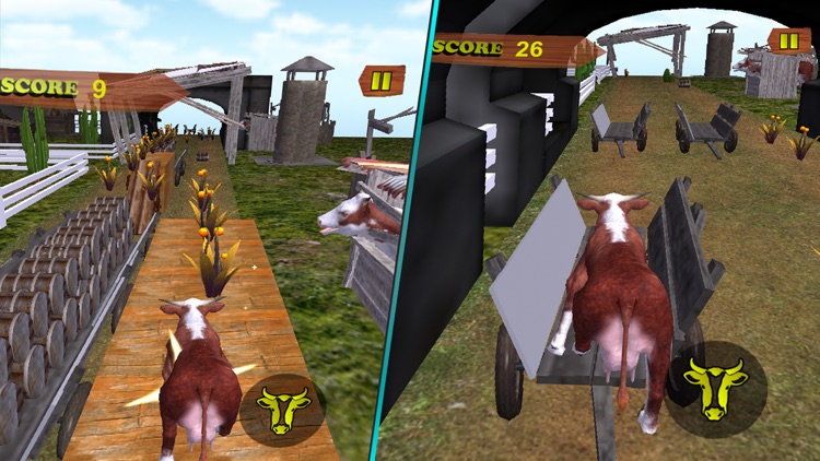 Angry Cow Simulator