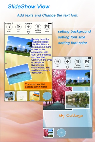 Photo and Text SlideShow - Micro Album -Build PDF screenshot 2