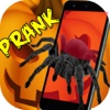 Spider 3D AR Prank Halloween Party Trick