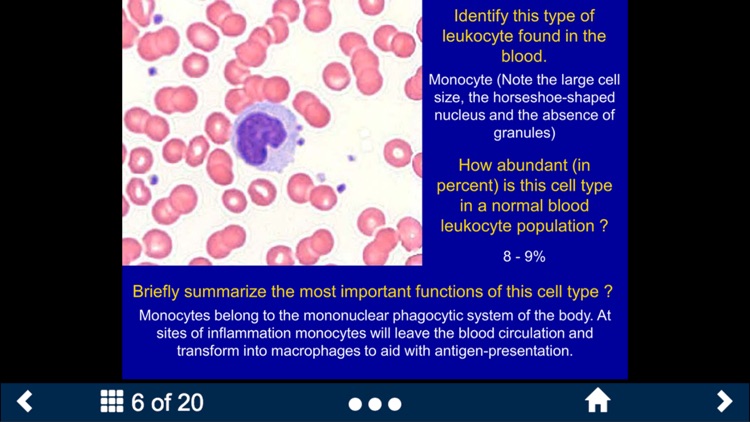 Histology Lite - SecondLook
