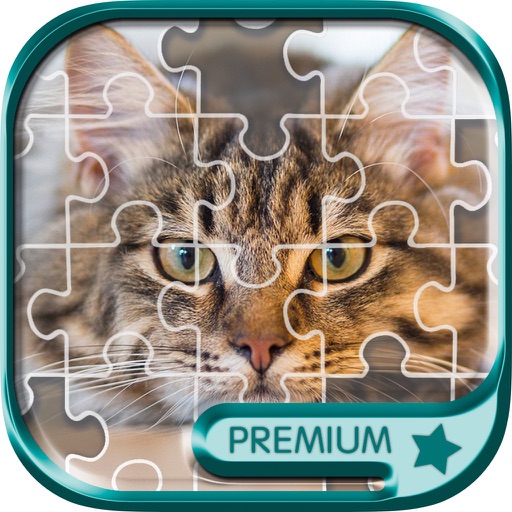 Sliding Block Game Slide Puzzle & Photos - Pro by Landay Apps