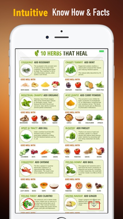 Herbal for Beginners:Natural Medicine Treatment