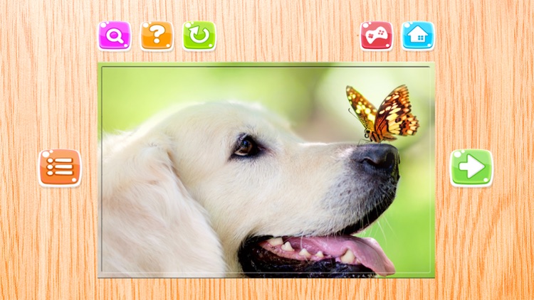 Animals Puzzle for Adults Jigsaw Puzzles Game Free screenshot-4