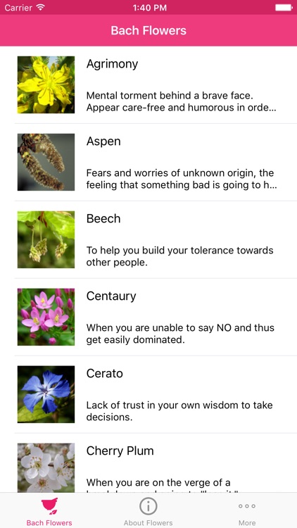Bach Flowers Remedies