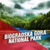 Biogradska Gora National Park Tourism Guide