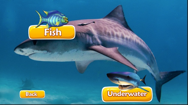 Sharks Spear Fishing Underwater - Shark Simulator 3D Free Sharks Games