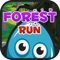 Forest Run Adventure