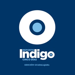 Reporte Indigo Guadalajara