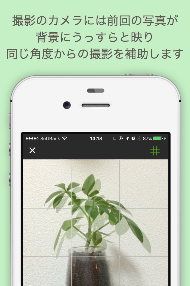 観察日記 screenshot 3