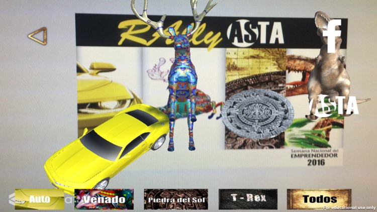 RAlly Asta screenshot-3