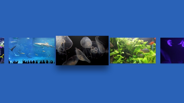 Real Aquariums HD(圖4)-速報App