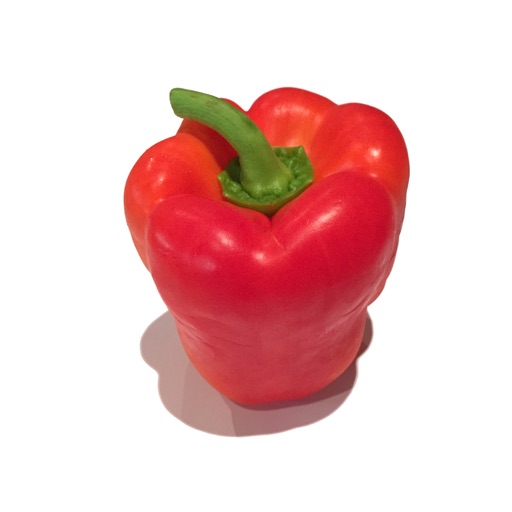 Vegetable Stickers - Great for Veggies and Vegans
