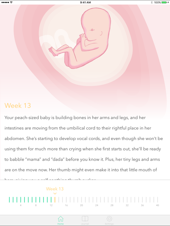 Pregnancy Tracker ! screenshot