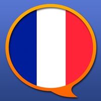 French Multilingual dictionary app not working? crashes or has problems?