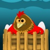 Chicken & Eggs for iPad
