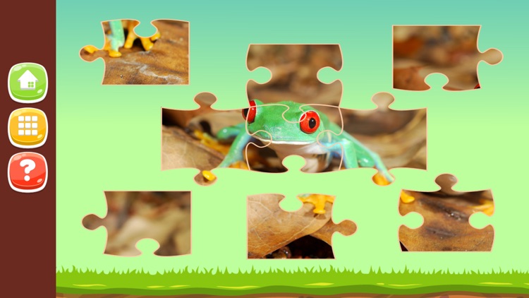 Animal Photo Jigsaw Puzzle Games HD