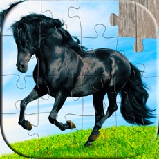 Activities of Horse Puzzles - Relaxing photo picture jigsaw puzzles for kids and adults