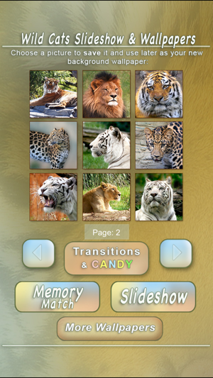 Wild Cats Slideshow & Wallpapers(圖5)-速報App