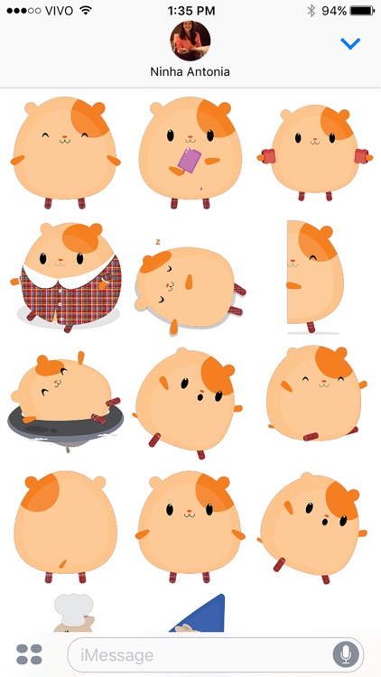 bichitto's collection