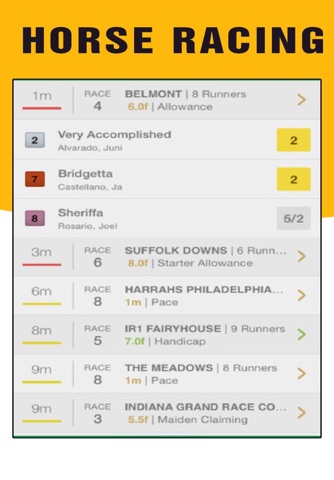 Horse Racing Betting screenshot 3