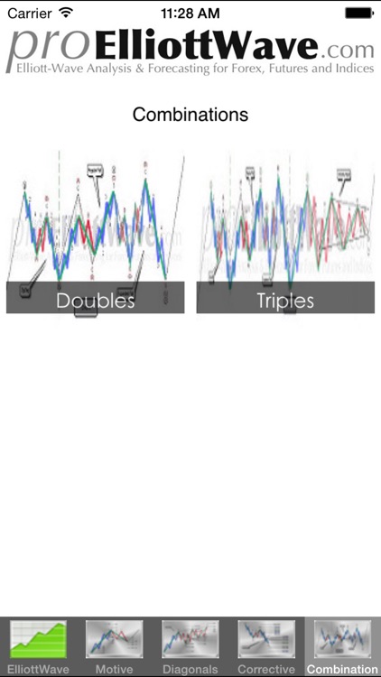 EWTlite screenshot-4