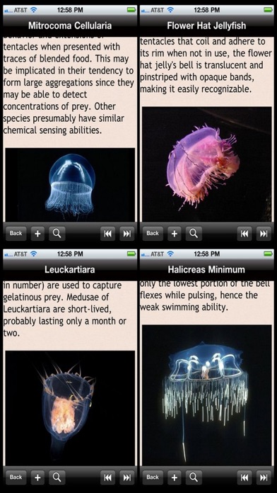Jellyfish Encyclopedia Screenshot 1
