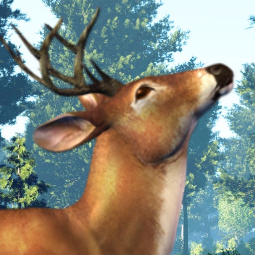 Real Deer Hunting Challenge Ultimate Animals Hunt Icon